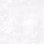 White on White Dry Brush 108in Wide Back