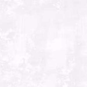 White on White Dry Brush 108in Wide Back