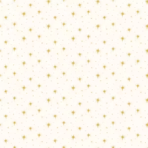 Come Let Us Adore Him Stars Cloud